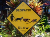 Costa Rica Road Sign